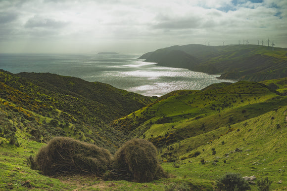 Image of Ireland Coastline